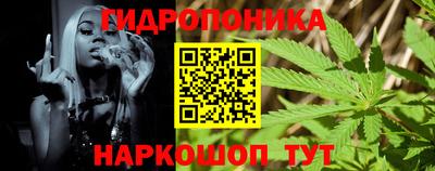 наркотики Новозыбков